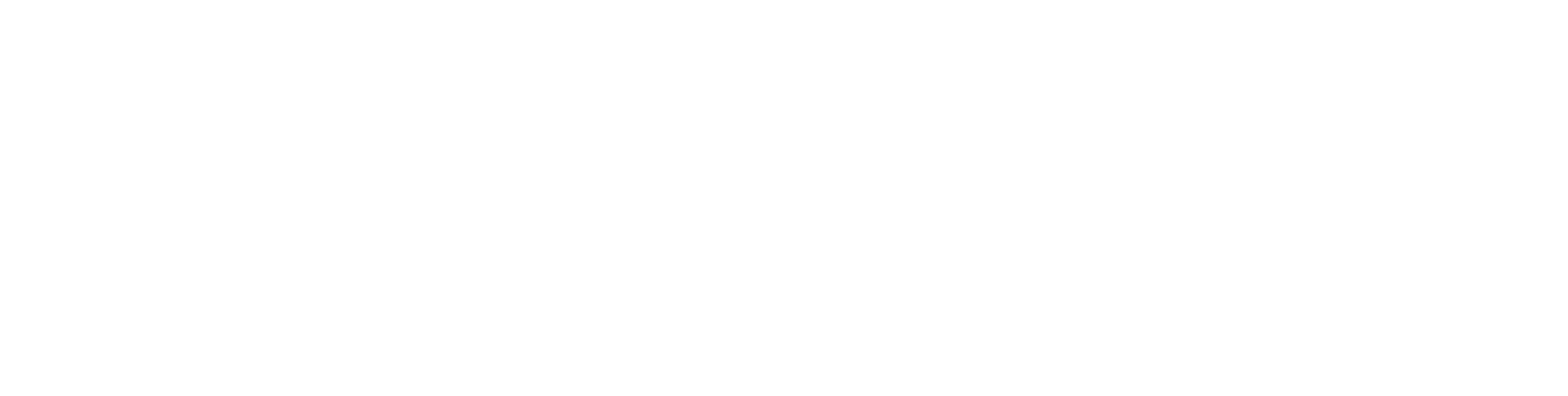AmigoCloud